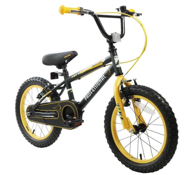 Professional Phantom 16 Inch Wheel Kids Bike Black-2